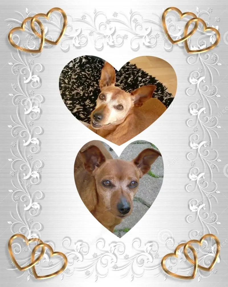 Andachtsbild von ❤️❤️❤️