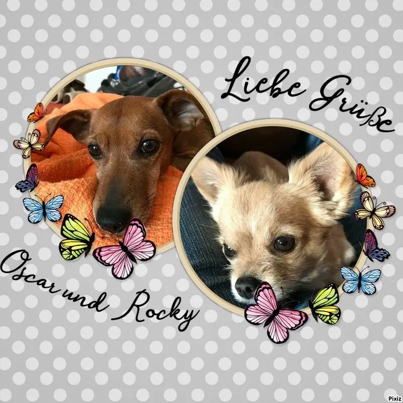 Andachtsbild von Jutta, Axel, Oscar und Rocky 