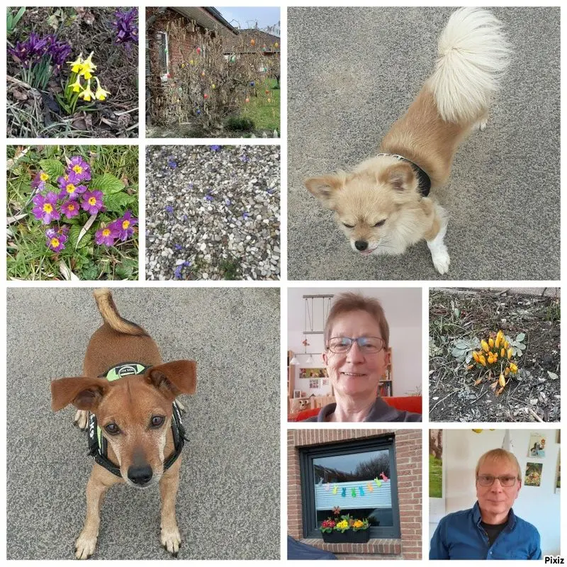 Andachtsbild von Jutta, Axel, Oscar und Rocky 