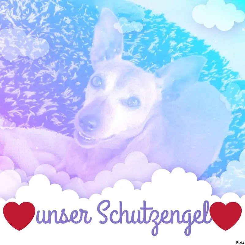 Andachtsbild von Jutta, Axel, Oscar und Rocky 