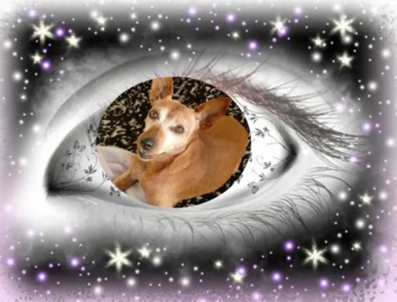 Andachtsbild von Gute Nacht❤️❤️❤️