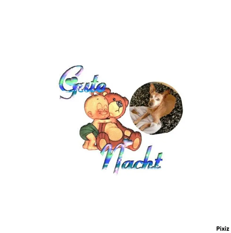 Andachtsbild von Jutta, Axel, Oscar und Rocky