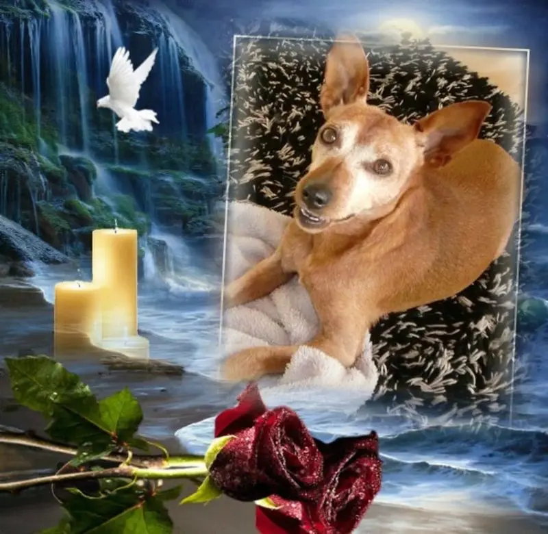 Andachtsbild von 5. STERNCHEN❤️GEDENKTAG❤️❤️❤️❤️❤️