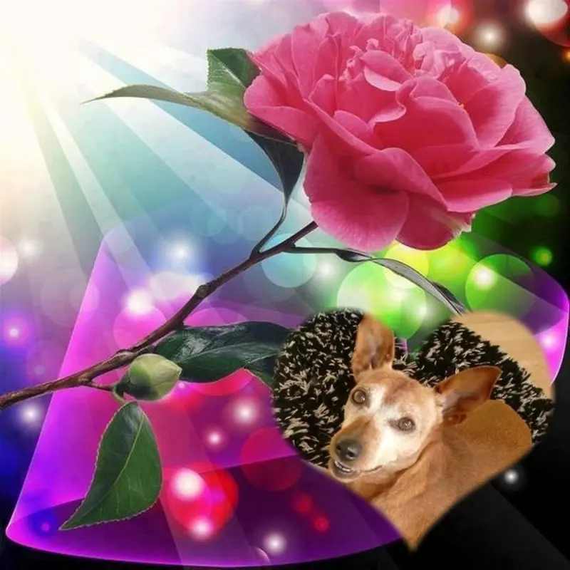 Andachtsbild von ❤️❤️❤️❤️❤️❤️❤️❤️❤️❤️❤️❤️❤️❤️