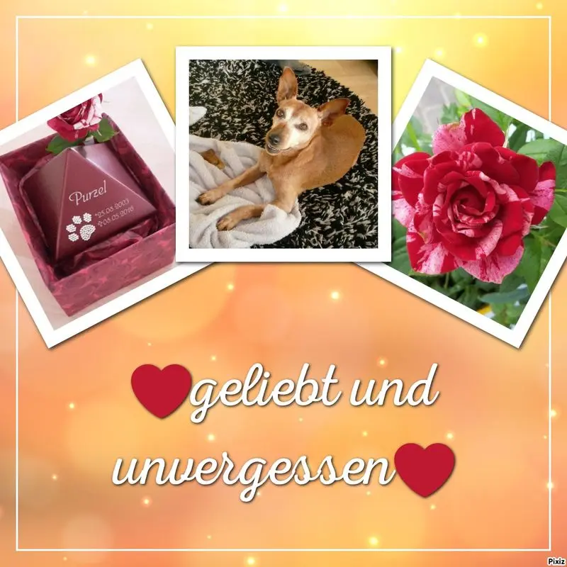 Andachtsbild von Jutta, Axel, Oscar und Rocky 