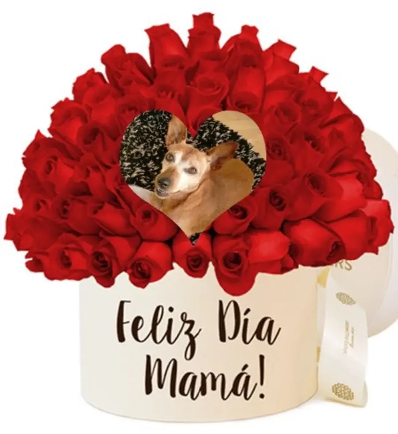 Andachtsbild von ❤️Mama❤️