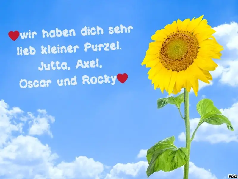 Andachtsbild von Jutta, Axel, Oscar und Rocky 