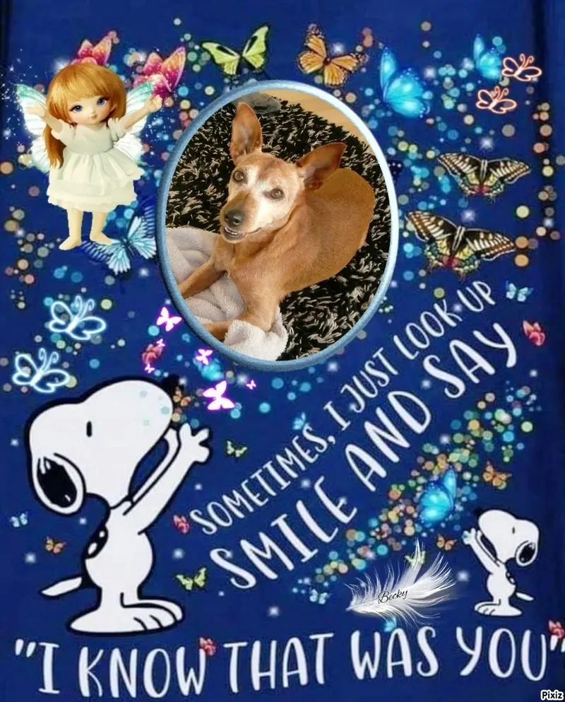 Andachtsbild von Jutta, Axel, Oscar und Rocky 