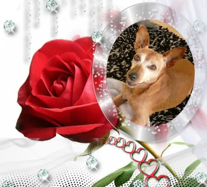 Andachtsbild von Guten Morgen❤️❤️❤️