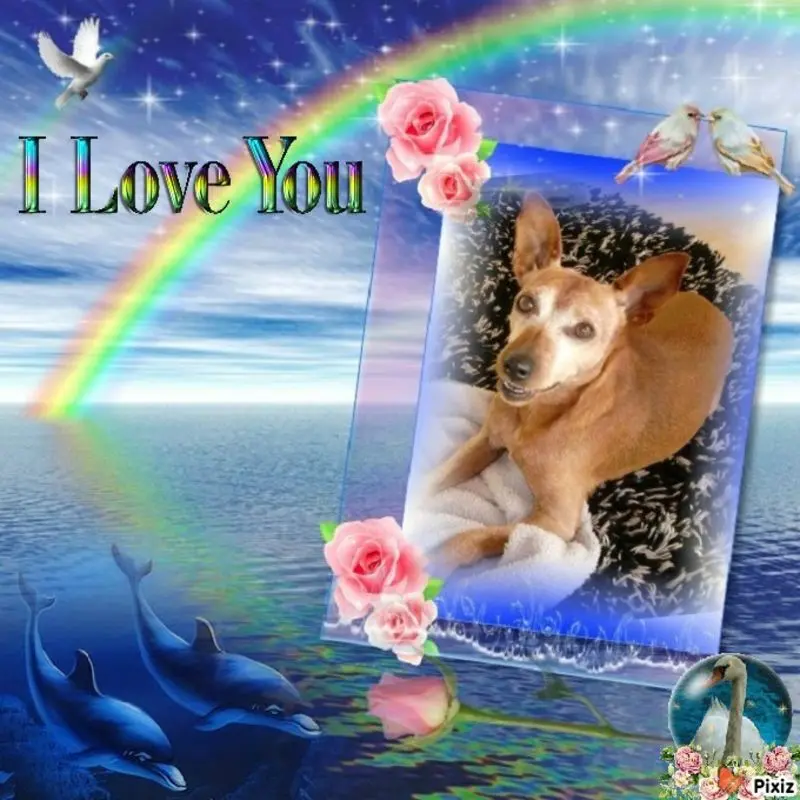 Andachtsbild von Jutta für meinen Schatz Purzel 