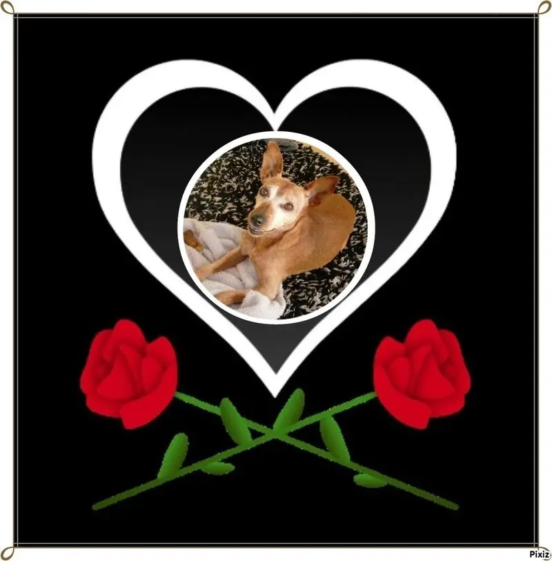 Andachtsbild von Jutta, Axel, Oscar und Rocky 