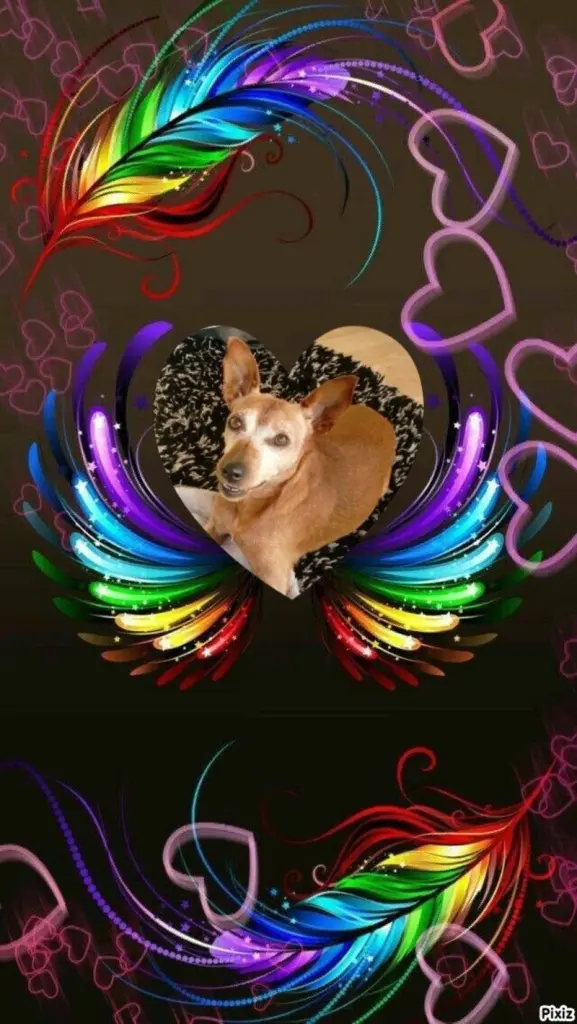 Andachtsbild von Jutta, Axel, Oscar und Rocky 