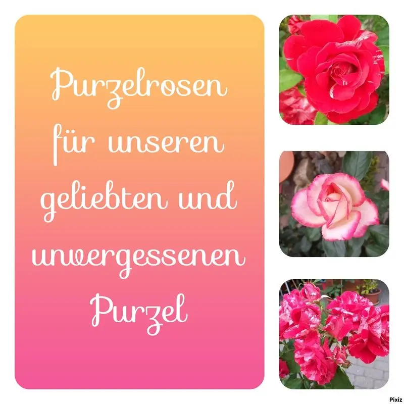 Andachtsbild von Jutta, Axel, Oscar und Rocky 