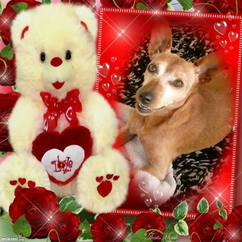 Andachtsbild von DANKE SCHON❤️❤️❤️