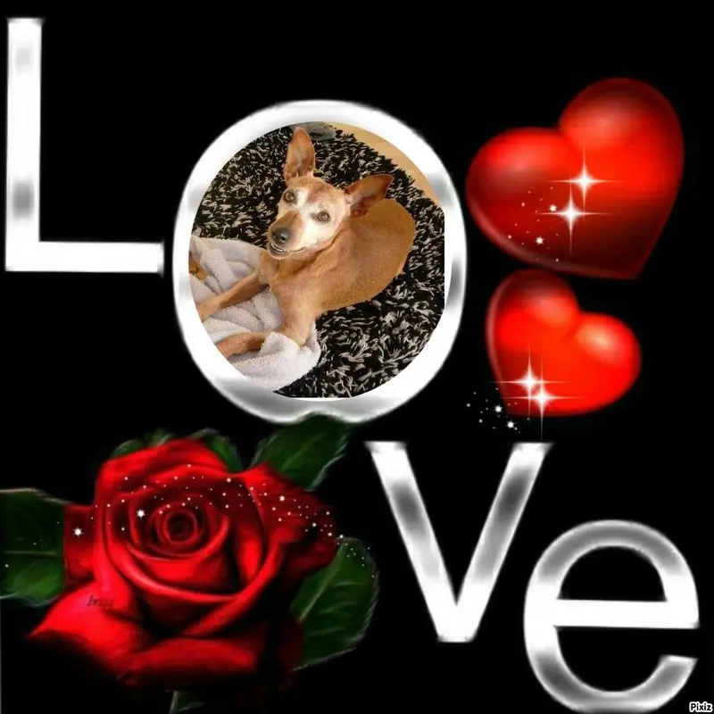 Andachtsbild von Jutta, Axel, Oscar und Rocky 