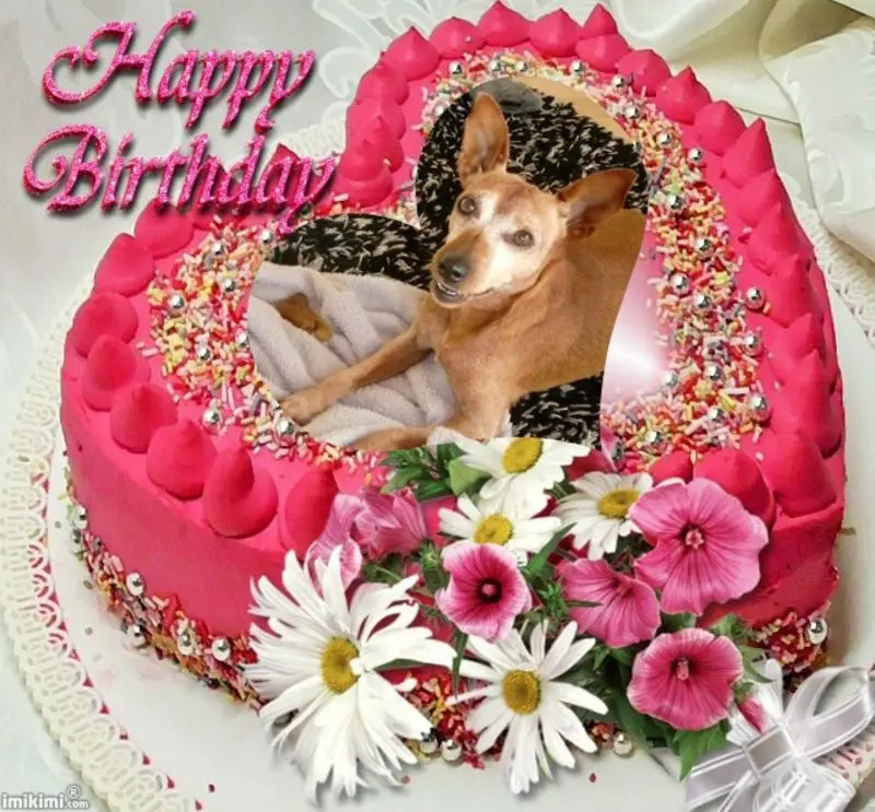 Andachtsbild von 18.Geburtstag❤️❤️❤️❤️❤️❤️❤️❤️❤️❤️❤️❤️❤️❤️❤️❤️❤️❤️