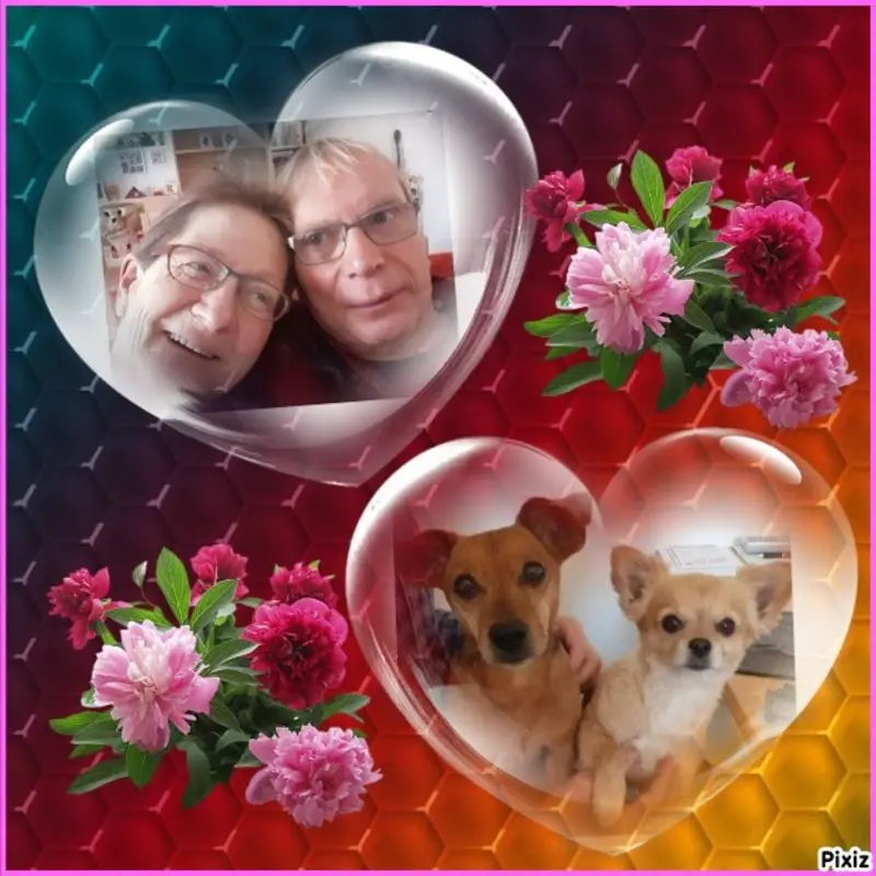 Andachtsbild von Jutta, Axel, Oscar und Rocky