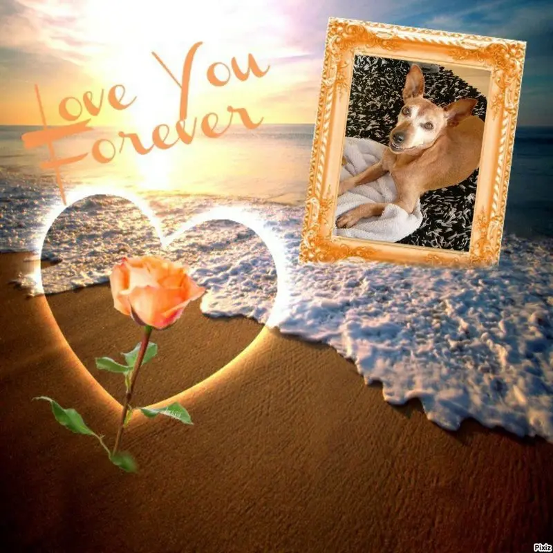 Andachtsbild von Jutta, Axel, Oscar und Rocky