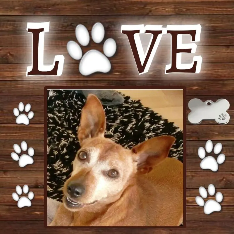 Andachtsbild von Jutta, Axel, Oscar und Rocky 