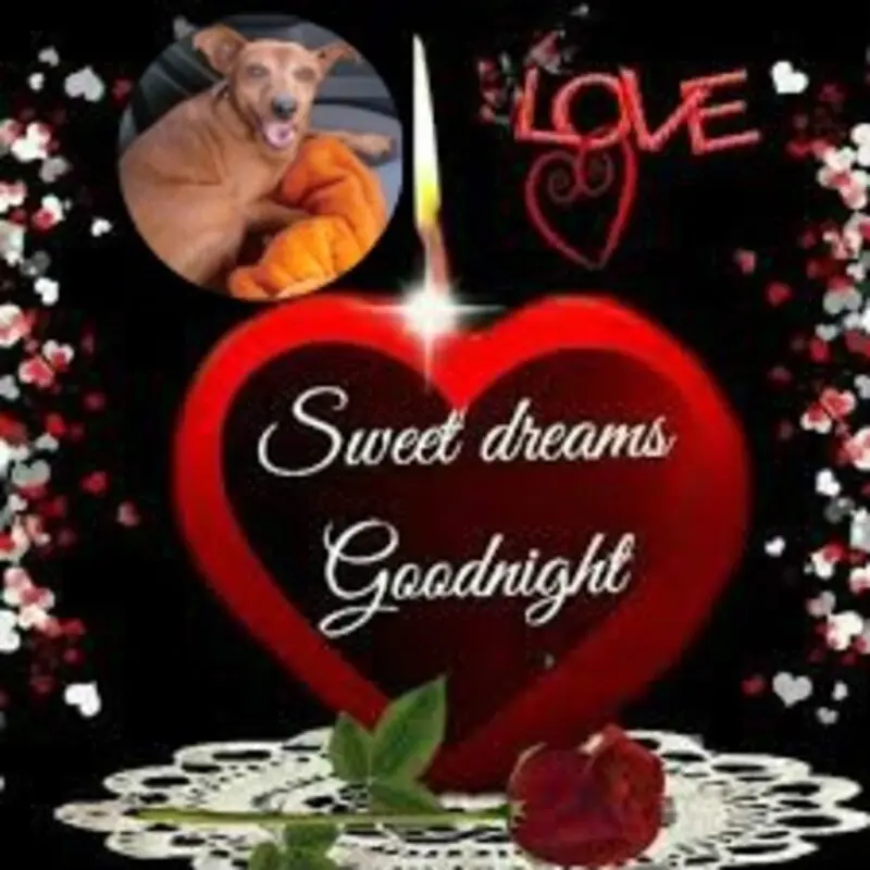 Andachtsbild von Gute Nacht❤️❤️❤️