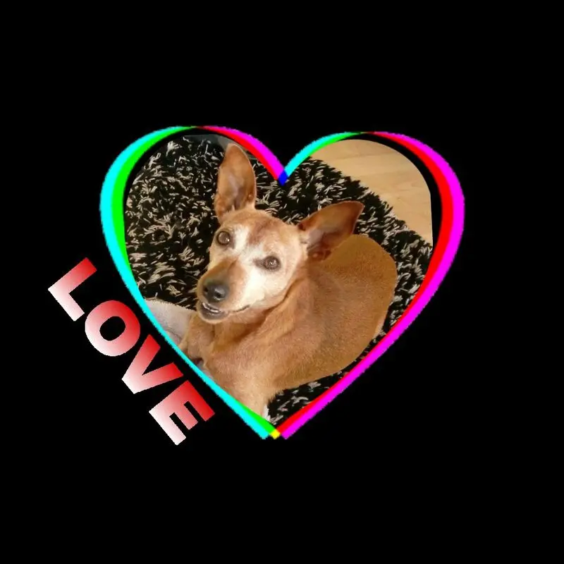 Andachtsbild von Jutta, Axel, Oscar und Rocky