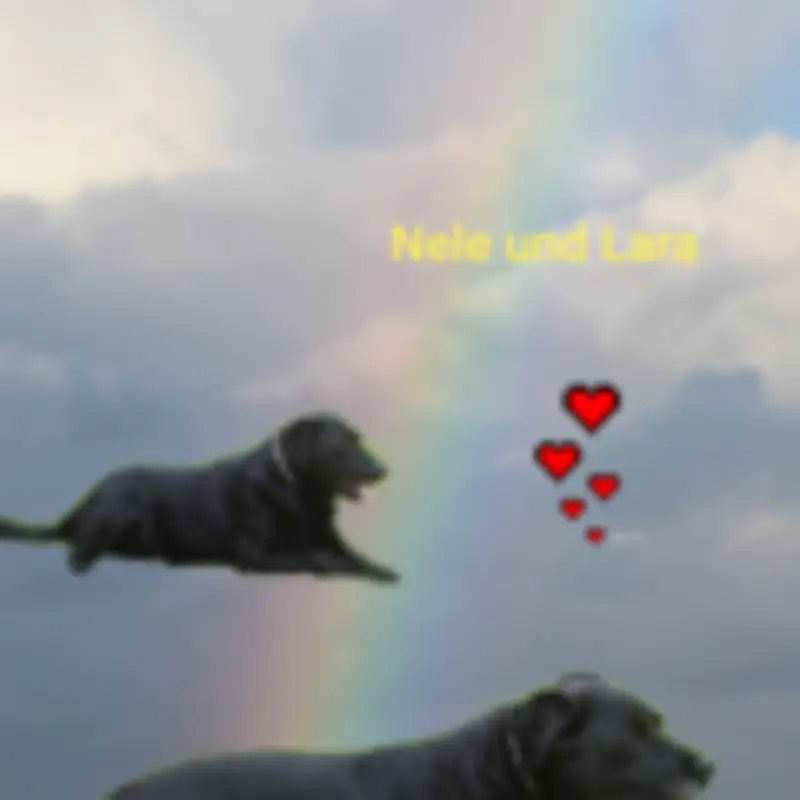 Andachtsbild von Unbekannt