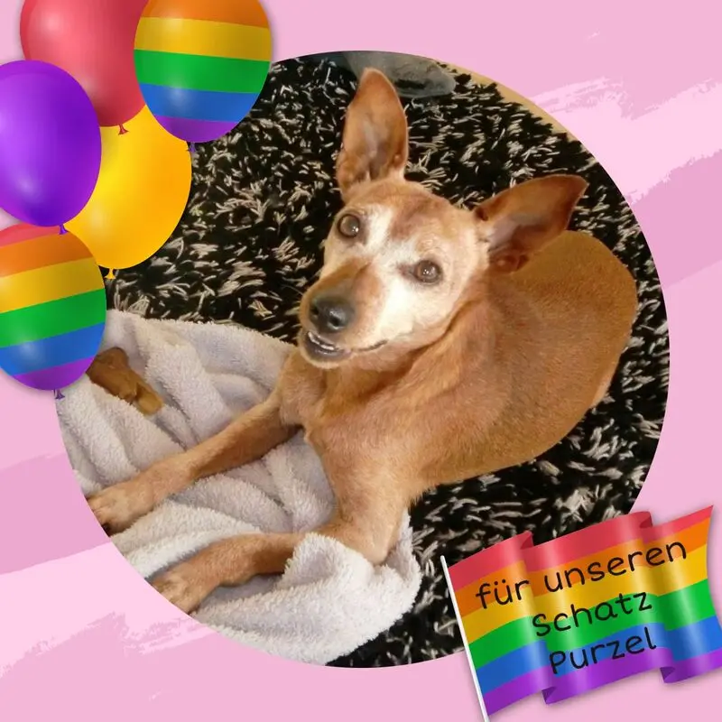 Andachtsbild von Unbekannt