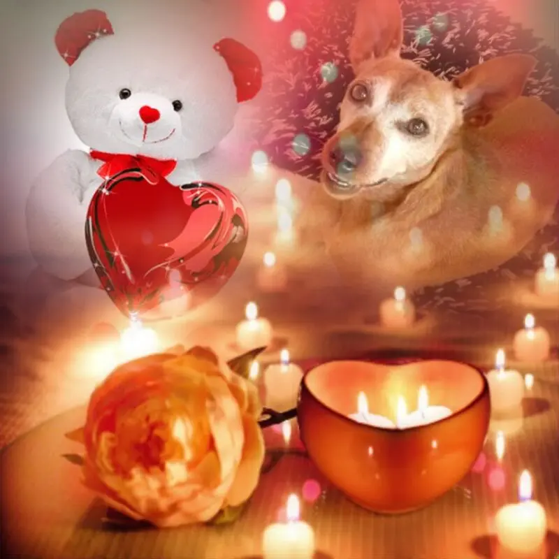 Andachtsbild von Gute Nacht❤️❤️❤️