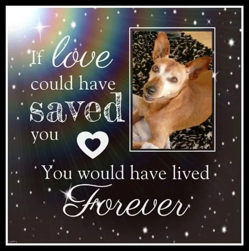 Andachtsbild von Jutta, Axel, Oscar und Rocky