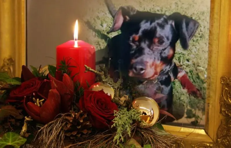 Andachtsbild von Marga mit Rambo im Herzen