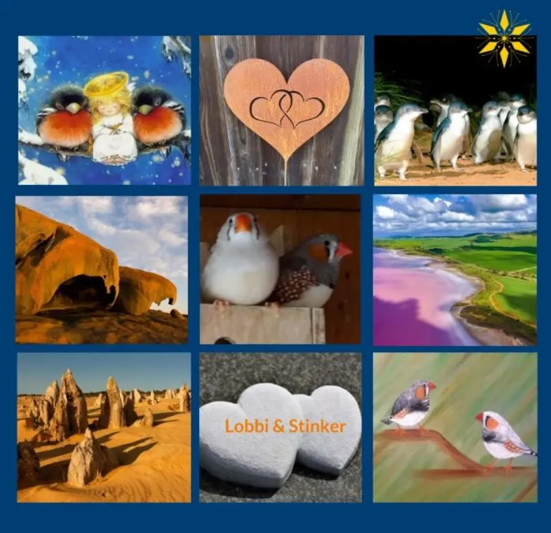 Andachtsbild von Rosen für Lobbi & Stinker zum 1. Sternchentag