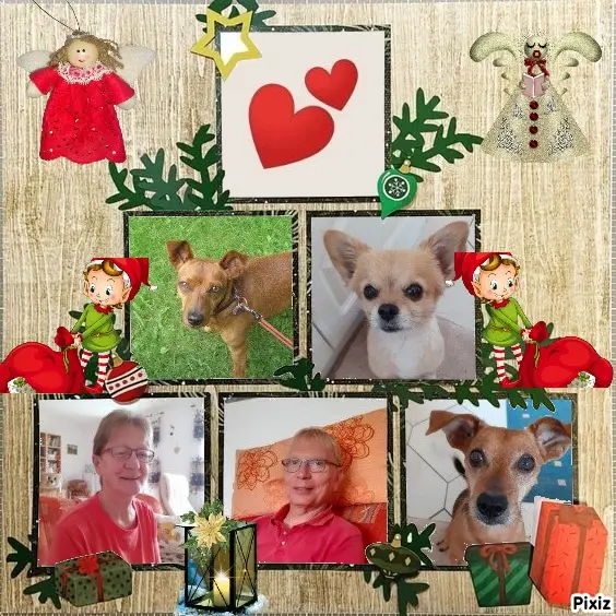 Andachtsbild von Jutta, Axel, Oscar und Rocky 