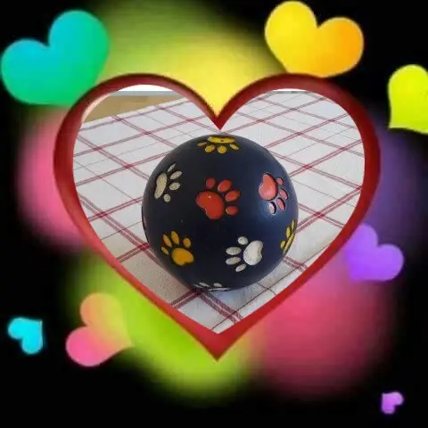 Andachtsbild von Jutta, Axel, Oscar und Rocky 