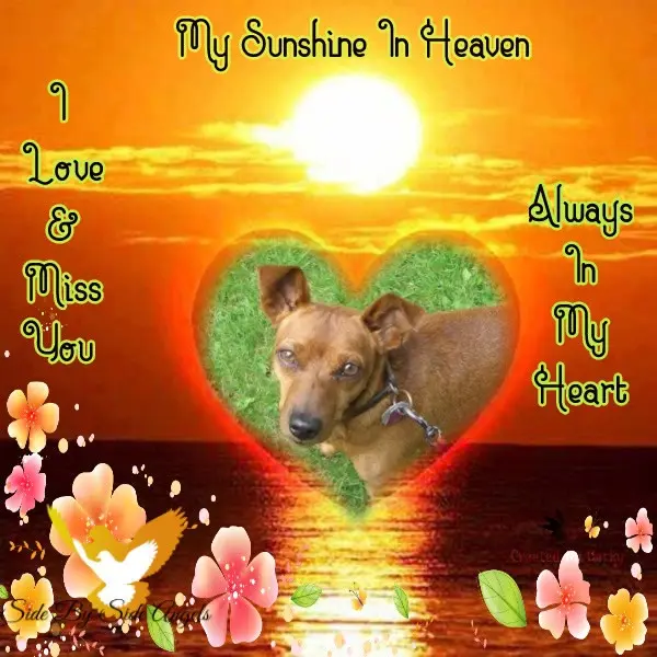 Andachtsbild von Jutta, Axel, Oscar und Rocky 