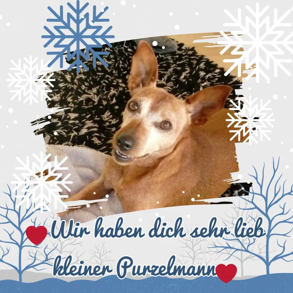 Andachtsbild von Jutta, Axel, Oscar und Rocky 