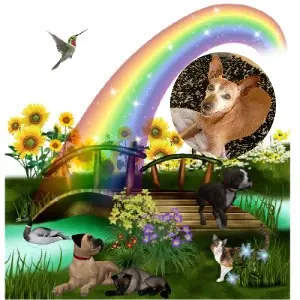 Andachtsbild von Jutta, Axel, Oscar und Rocky 