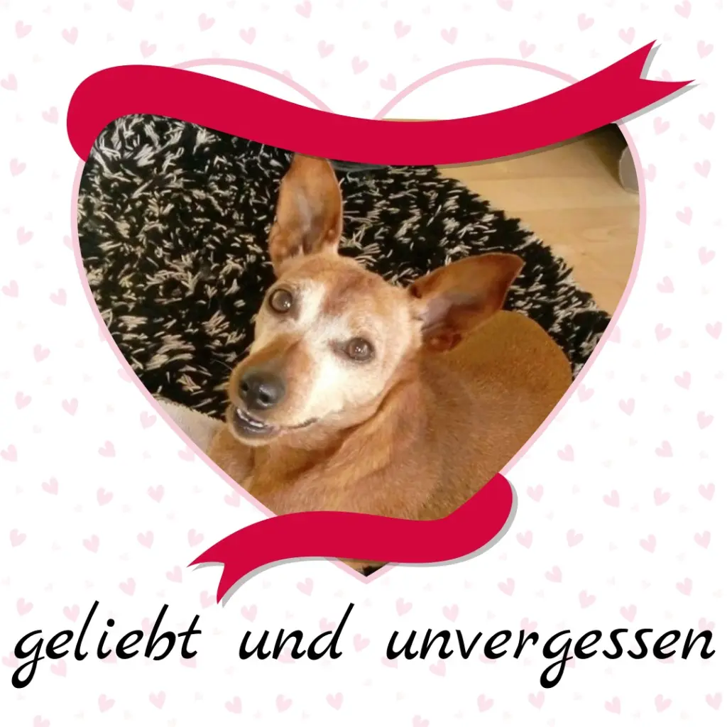 Andachtsbild von Jutta, Axel, Oscar und Rocky