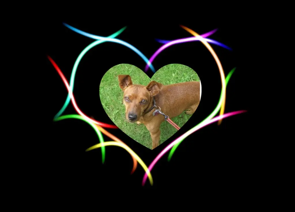 Andachtsbild von Jutta Axel, Oscar und Rocky