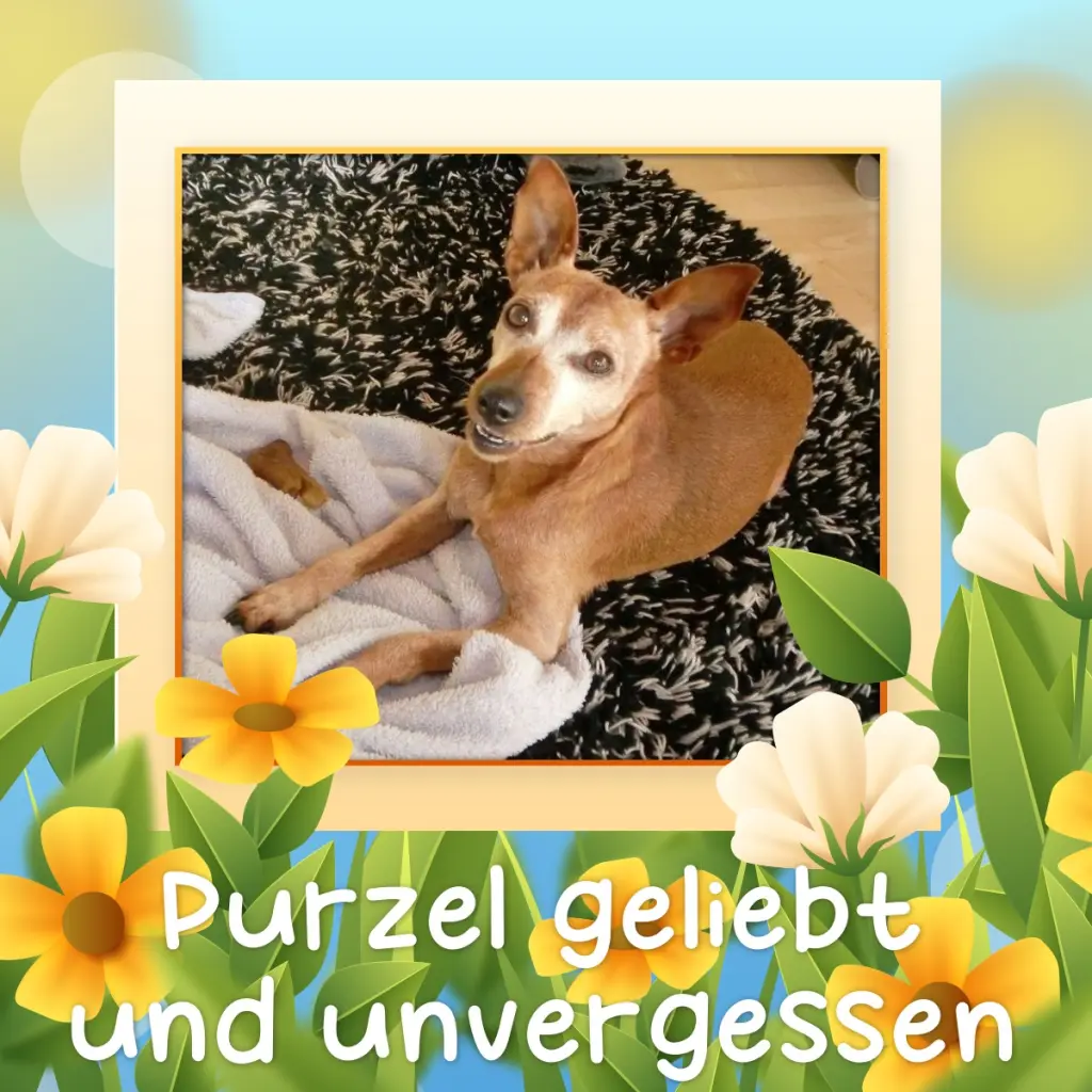 Andachtsbild von Jutta, Axel, Oscar und Rocky 