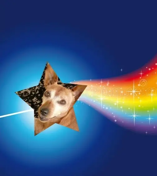 Andachtsbild von Jutta, Axel, Oscar und Rocky 