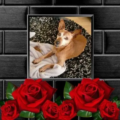 Andachtsbild von Jutta, Axel, Oscar und Rocky 