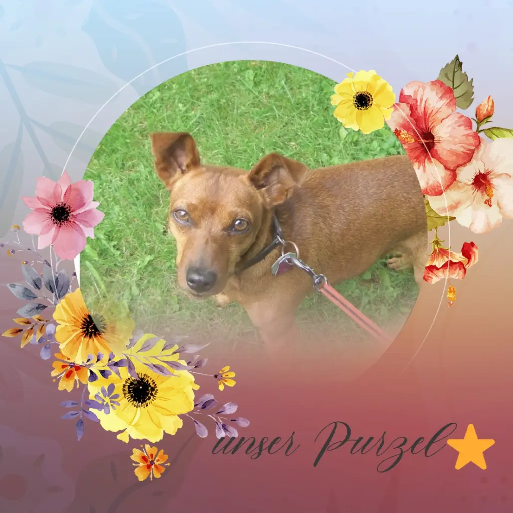 Andachtsbild von Jutta, Axel, Oscar und Rocky 