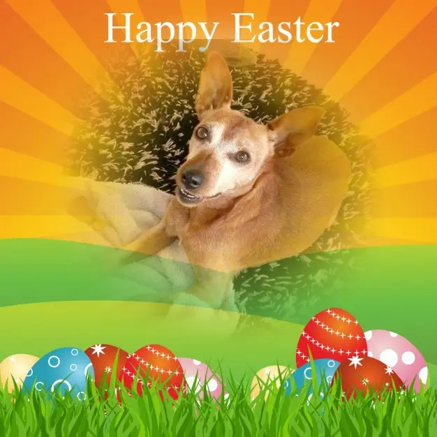 Andachtsbild von Jutta, Axel, Oscar und Rocky 