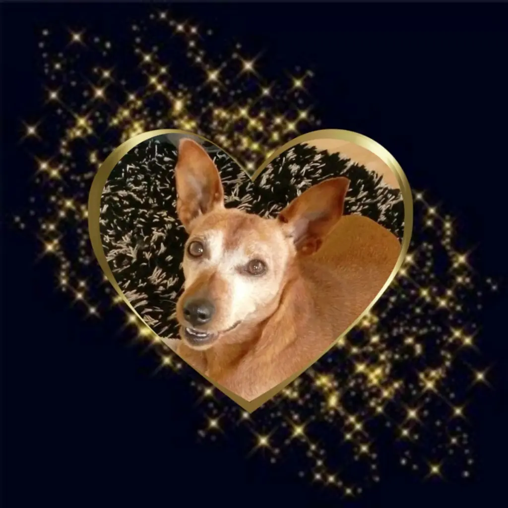 Andachtsbild von Jutta, Axel, Oscar und Rocky 