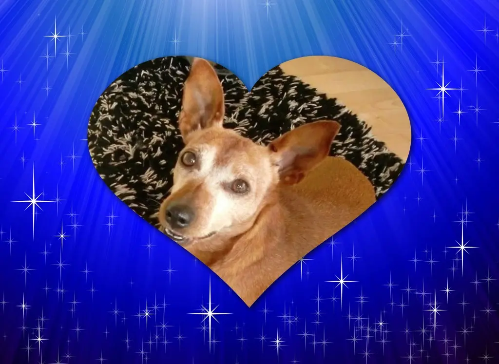 Andachtsbild von Jutta, Axel, Oscar und Rocky 