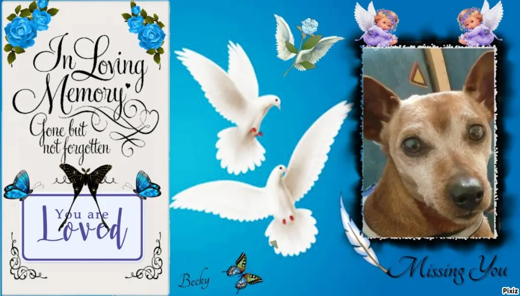 Andachtsbild von Tanja mit Timmy im Herzen 