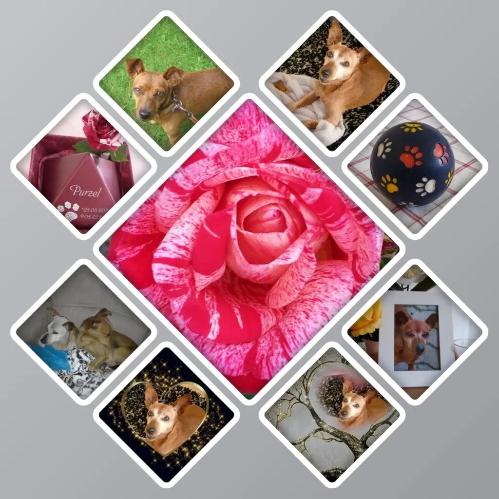 Andachtsbild von Jutta für meinen Purzel