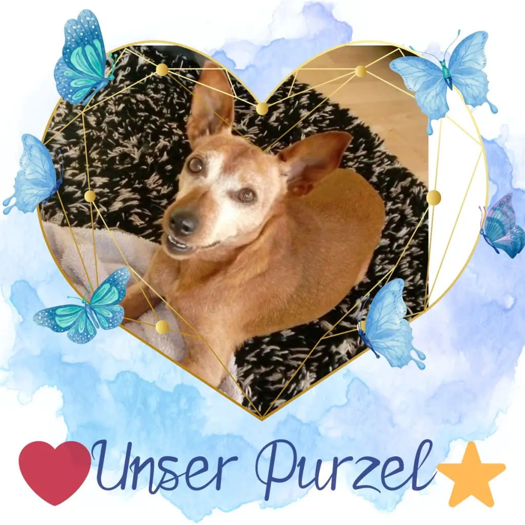 Andachtsbild von Jutta, Axel, Oscar und Rocky 