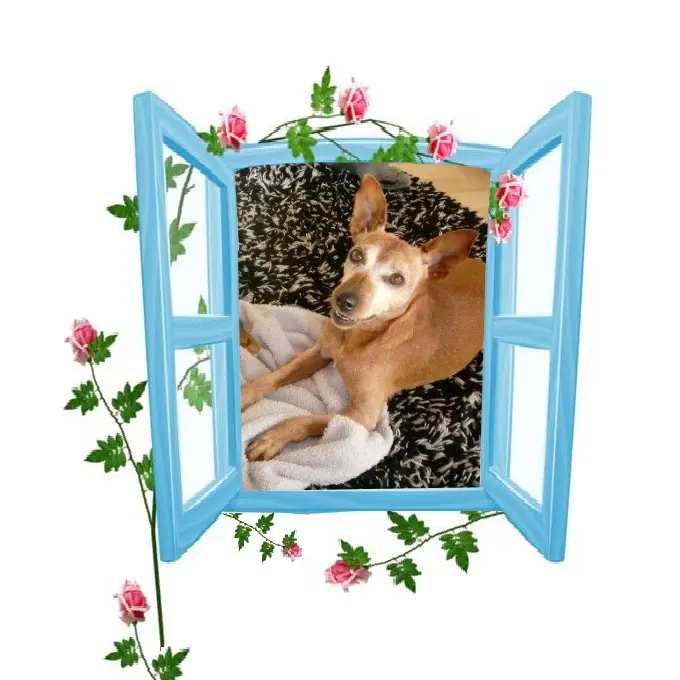 Andachtsbild von Jutta, Axel, Oscar und Rocky