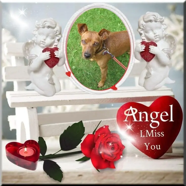 Andachtsbild von Jutta, Axel, Oscar und Rocky 